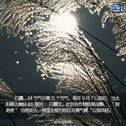 一、 出伏时间段的季节学定位及其气候意义