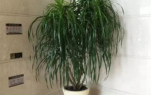 1.2 财位环境特征之要件