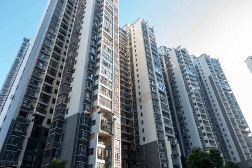 区域性考察：入住率与潜在问题