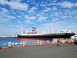 购物陷阱：高价劣质货的猫腻