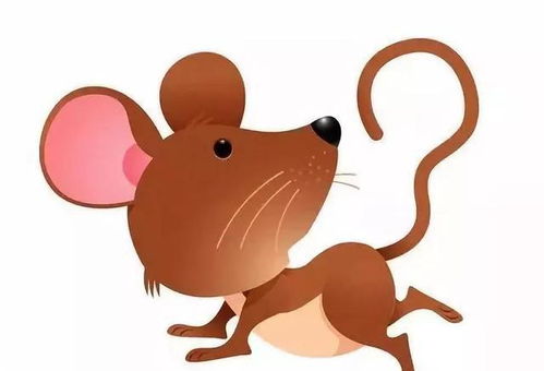 十二生肖鼠每月运势分别代表什么含义？