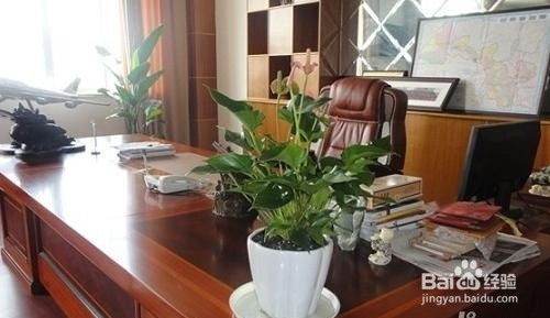 2.3 厨房——火煞集聚区的净化屏障