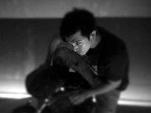 二、 基于生肖属性的网名解析