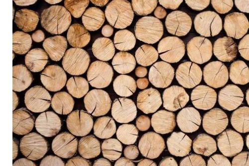 家里摆放很多木头家具，这样的风水布局意味着什么？