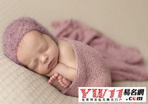 如何为男兔宝宝取一个既好听又富有寓意的小名？