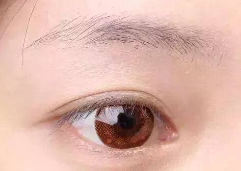 ：惯与眉毛形态与人类寿命关联性的跨学科审视