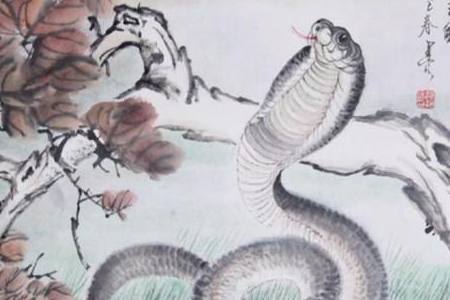 请问花花肠子指的是哪个生肖动物？