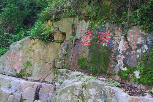 交通运输陷阱：540路公交的“再说说一公里”，  比爬山还累