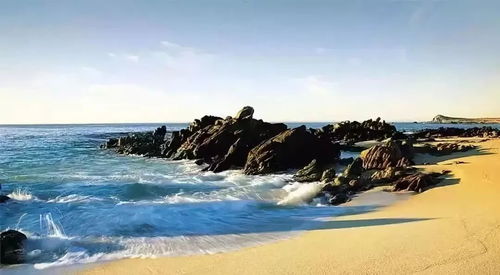 吃的东西绝了！胖十斤也值得！