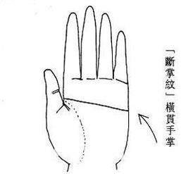 一、 性格影响：独立自主与决断力