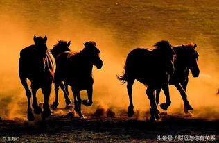 2026年属马人穿衣禁忌大揭秘！这些颜色千万不能碰！