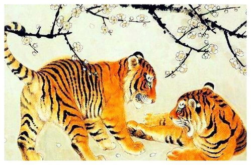 十二生肖中，生肖虎今日财运如何，明日运势又是怎样？