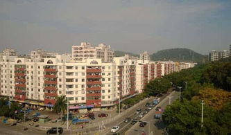 张家港泗港附近有没有专业的风水大师可依咨询？