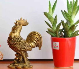 五行与铜公鸡之属性归属