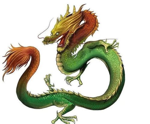 整体运势：跌宕起伏中的蛰伏与破局