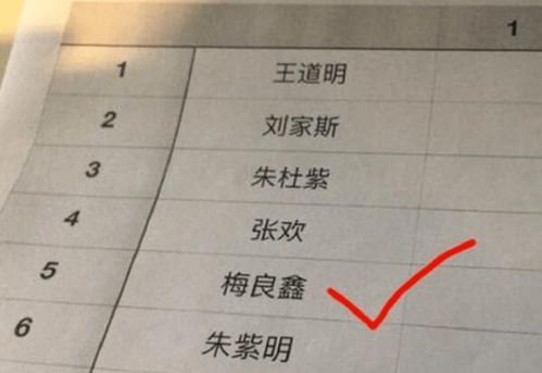 再来几个随机组合的名字（纯属娱乐！）