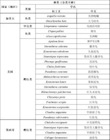 2026年周易情侣打分测试准吗？2026年姓名检测缘分如何？