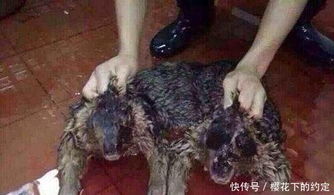 减轻巧压力