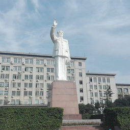 惯与华科大本身：你以为它只是个学校？错！它是个森林！