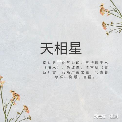 三、 “陷地不凶”背后的意义与潜在优势
