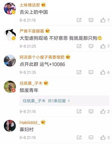 二、  生肖元素在微信昵称中的应用及其象征意义