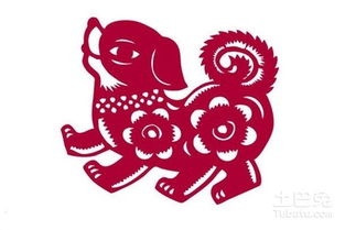 94年属狗人遇到蛇年运势如何，财运是不是会很旺？