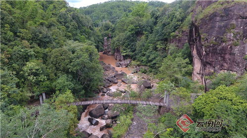 终极真相：大家就是图个乐别太认真