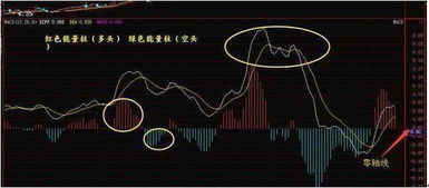 一、 选股条件与战术布局