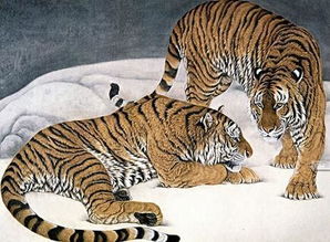 2026年属虎的人全年财运走势如何？