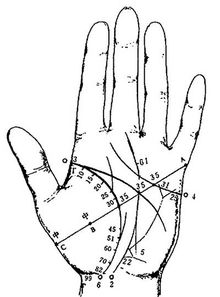 A、 B、C三种典型手掌类型的特征阐释
