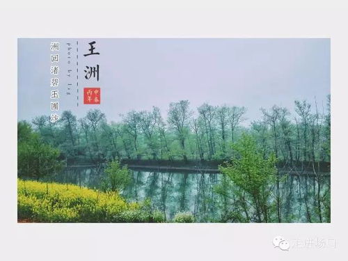 1.2 展出作品的章节划分与主题阐述