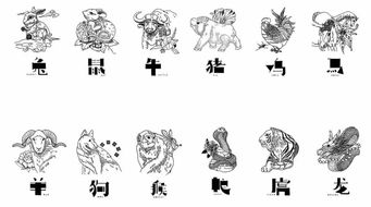 装模作样打一生肖，究竟是什么生肖如此神秘？