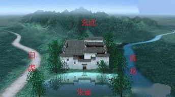 猫的风水与富贵的关联，如何判断一个地方是否是大富大贵的风水宝地？