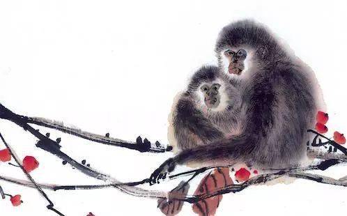 生肖猴（Monkey）