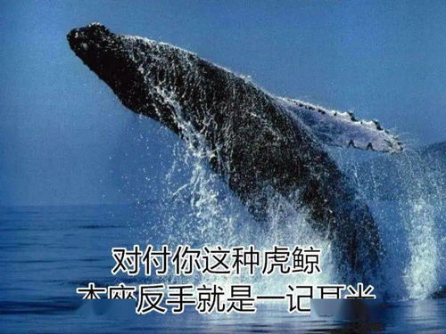 论“夜幕较低垂，海面鬼影浮现，究竟谁敢无畏揭开这瞒天过海的神秘真实相？”的国学风水解读