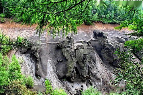 温泉养生大作战