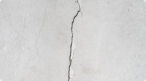 花盆裂缝对家居风水有影响吗？