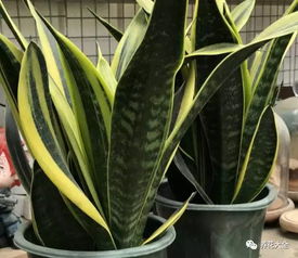 风水方位与吉凶考量