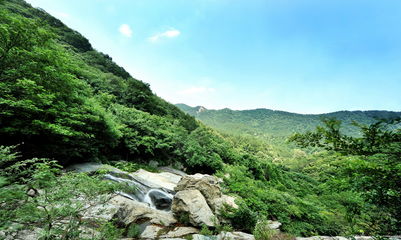 二、仙境？垃圾回收站还差不多