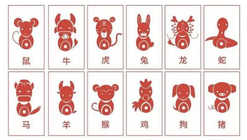 十二生肖最近一年运势分析和最新一周运势详解分别指什么？