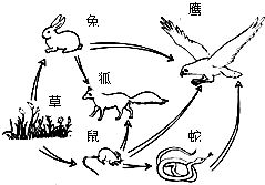 十一、 饮食提议：均衡营养成分以维系身体身体健康状况