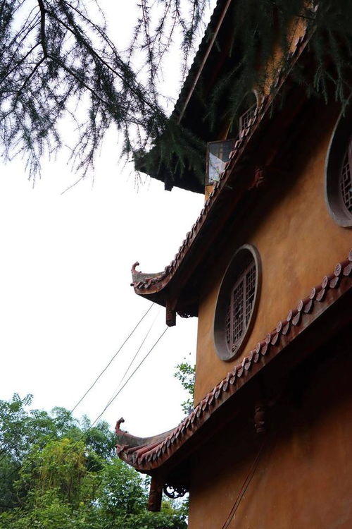 先说说那些“爆款”线路…简直是大型翻车现场！