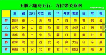五行数字分析中，如何对应吉凶和数字大全？