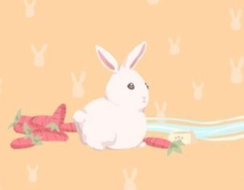 属牛和属兔的兄妹关系是否和谐，属兔与属牛的相合程度如何？