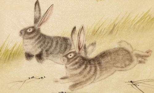 将冷眼相待对应生肖为长尾，会是怎样的生肖呢？