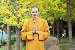 五、 现代化传播媒介中的再解读