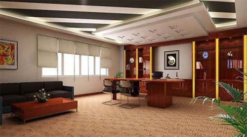 五、  光照环境与阴阳平衡的考量