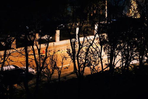 纸船沉没风筝断线夜幕降临鬼影幢幢，这一切不容简单道不是预示着哪些吗？