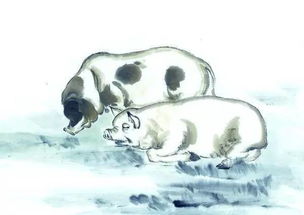 一、 生肖猪之人格特质与心理画像