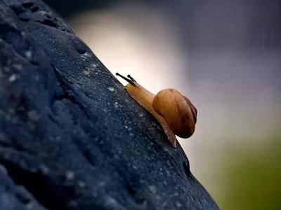 为什么有些人会大器晚成？